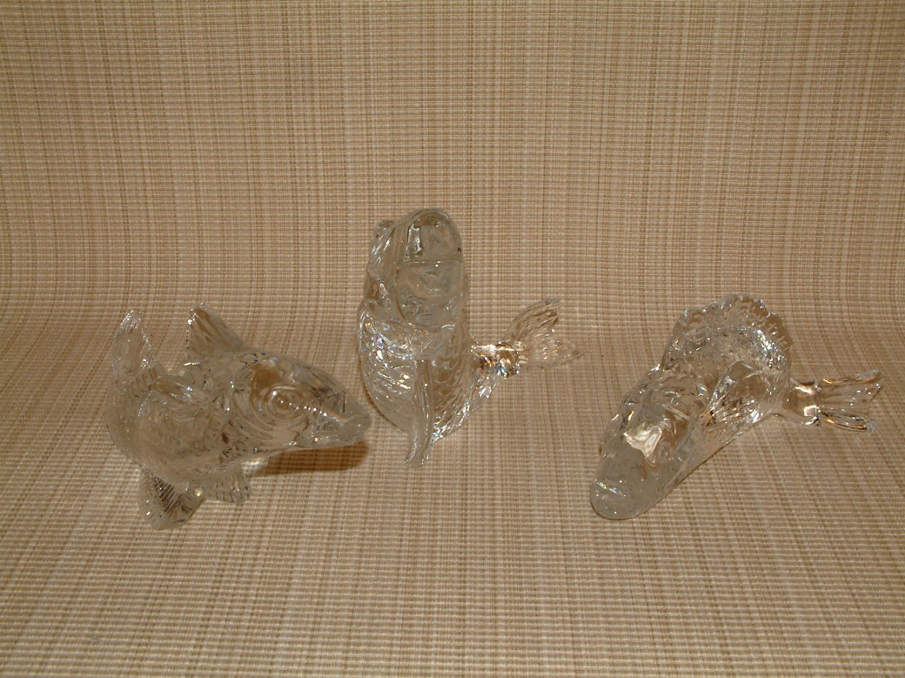 BAC44-1.jpg